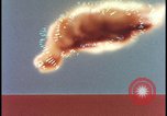 Image of animated atom bomb radiation Nevada United States USA, 1955, second 27 stock footage video 65675078381