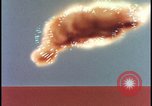 Image of animated atom bomb radiation Nevada United States USA, 1955, second 30 stock footage video 65675078381