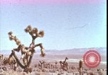 Immagine di prova della bomba atomica United States USA, 1951, secondo 1 filmato di repertorio 65675078404