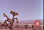 Immagine di prova della bomba atomica United States USA, 1951, secondo 4 filmato di repertorio 65675078404