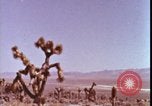 Immagine di prova della bomba atomica United States USA, 1951, secondo 12 filmato di repertorio 65675078404