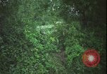 Immagine di Funzionamento Wallowa Vietnam, 1967, secondo 62 filmato di repertorio 65675078407