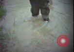 Immagine di Funzionamento Wallowa Vietnam, 1967, secondo 19 filmato di repertorio 65675078408