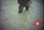 Immagine di Funzionamento Wallowa Vietnam, 1967, secondo 20 filmato di repertorio 65675078408