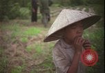 Immagine di Guerra del Vietnam Vietnam, 1967, secondo 30 filmato di repertorio 65675078412