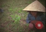 Immagine di Guerra del Vietnam Vietnam, 1967, secondo 56 filmato di repertorio 65675078412