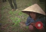 Immagine di Guerra del Vietnam Vietnam, 1967, secondo 61 filmato di repertorio 65675078412