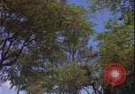 Image of Danang Da Nang Vietnam, 1966, second 49 stock footage video 65675078414