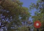 Image of Danang Da Nang Vietnam, 1966, second 50 stock footage video 65675078414