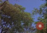 Image of Danang Da Nang Vietnam, 1966, second 51 stock footage video 65675078414