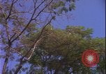Image of Danang Da Nang Vietnam, 1966, second 54 stock footage video 65675078414