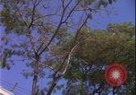 Image of Danang Da Nang Vietnam, 1966, second 55 stock footage video 65675078414
