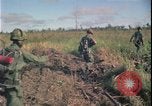 Immagine di Guerra del Vietnam Vietnam, 1967, secondo 9 filmato di repertorio 65675078419