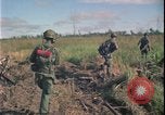 Immagine di Guerra del Vietnam Vietnam, 1967, secondo 10 filmato di repertorio 65675078419