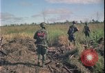 Immagine di Guerra del Vietnam Vietnam, 1967, secondo 11 filmato di repertorio 65675078419