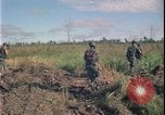 Immagine di Guerra del Vietnam Vietnam, 1967, secondo 13 filmato di repertorio 65675078419