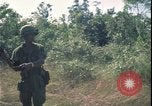 Immagine di Guerra del Vietnam Vietnam, 1967, secondo 53 filmato di repertorio 65675078419