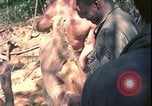 Image of Vietnam War Vietnam, 1967, second 19 stock footage video 65675078421