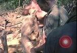 Image of Vietnam War Vietnam, 1967, second 20 stock footage video 65675078421