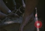 Image of Vietnam War Vietnam, 1967, second 38 stock footage video 65675078421