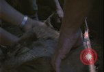 Image of Vietnam War Vietnam, 1967, second 40 stock footage video 65675078421