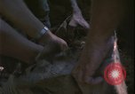 Image of Vietnam War Vietnam, 1967, second 41 stock footage video 65675078421