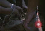 Image of Vietnam War Vietnam, 1967, second 42 stock footage video 65675078421