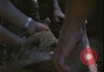 Image of Vietnam War Vietnam, 1967, second 43 stock footage video 65675078421