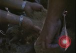 Image of Vietnam War Vietnam, 1967, second 46 stock footage video 65675078421