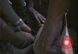 Image of Vietnam War Vietnam, 1967, second 47 stock footage video 65675078421