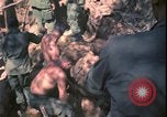 Image of Vietnam War Vietnam, 1967, second 55 stock footage video 65675078421