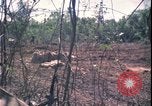 Image of Vietnam War Vietnam, 1967, second 60 stock footage video 65675078421