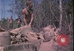 Image of Vietnam War Vietnam, 1967, second 11 stock footage video 65675078422