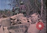 Image of Vietnam War Vietnam, 1967, second 17 stock footage video 65675078422
