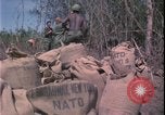 Image of Vietnam War Vietnam, 1967, second 18 stock footage video 65675078422