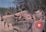 Image of Vietnam War Vietnam, 1967, second 19 stock footage video 65675078422