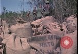 Image of Vietnam War Vietnam, 1967, second 20 stock footage video 65675078422