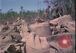 Image of Vietnam War Vietnam, 1967, second 22 stock footage video 65675078422