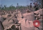 Image of Vietnam War Vietnam, 1967, second 23 stock footage video 65675078422
