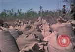 Image of Vietnam War Vietnam, 1967, second 24 stock footage video 65675078422