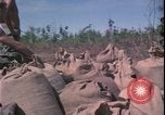 Image of Vietnam War Vietnam, 1967, second 25 stock footage video 65675078422