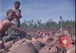 Image of Vietnam War Vietnam, 1967, second 31 stock footage video 65675078422