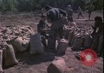 Image of Vietnam War Vietnam, 1967, second 32 stock footage video 65675078422