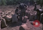 Image of Vietnam War Vietnam, 1967, second 35 stock footage video 65675078422