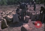 Image of Vietnam War Vietnam, 1967, second 41 stock footage video 65675078422