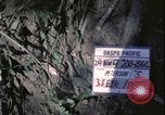 Image of Vietnam War Vietnam, 1967, second 1 stock footage video 65675078423