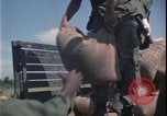 Image of Vietnam War Vietnam, 1967, second 39 stock footage video 65675078424