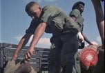 Image of Vietnam War Vietnam, 1967, second 40 stock footage video 65675078424