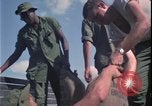 Image of Vietnam War Vietnam, 1967, second 42 stock footage video 65675078424