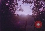 Image of Rape prevention United States USA, 1977, second 26 stock footage video 65675078426